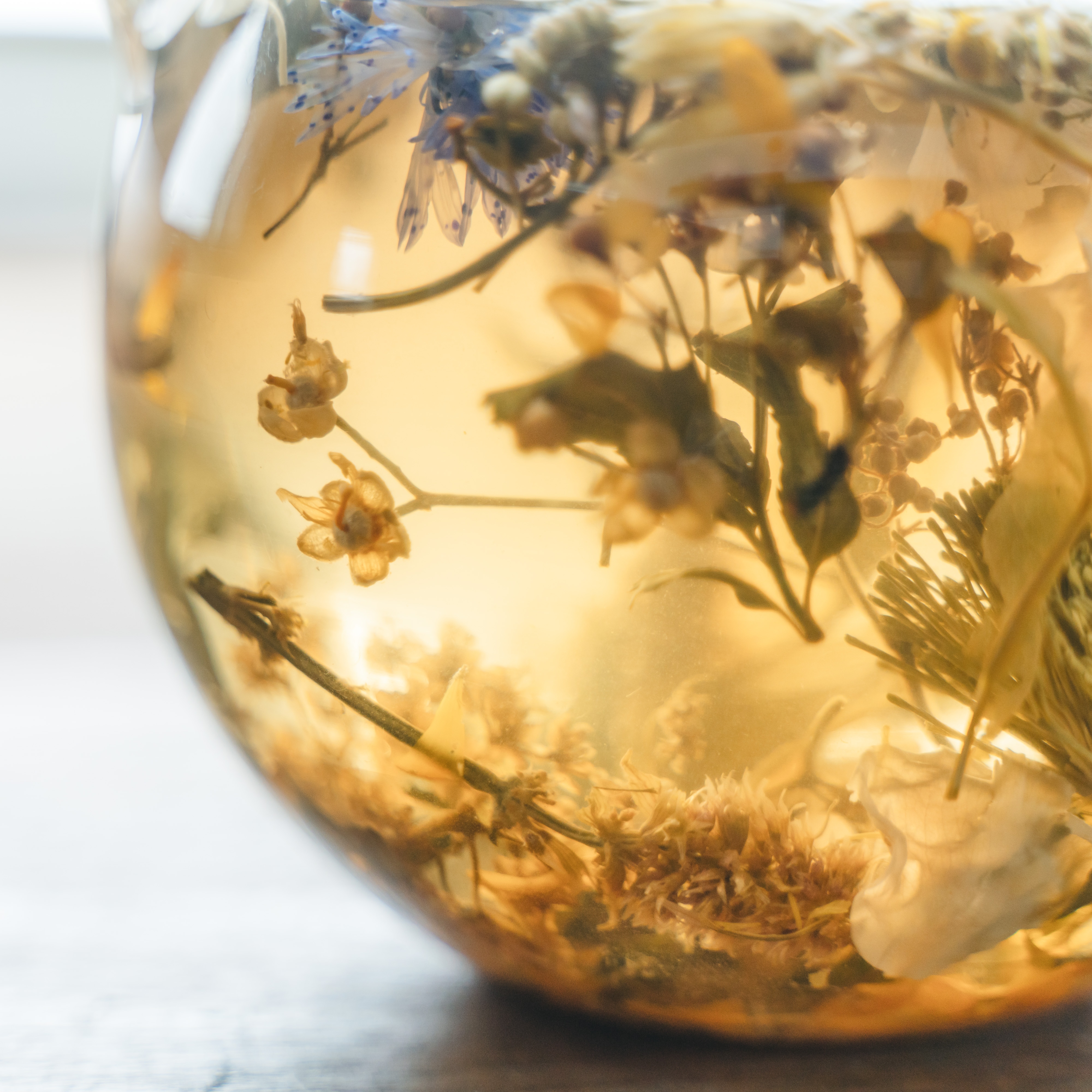 最終値下げ　A Modern Herbal 貴重なハーブの洋書 最終値下げ A Modern Herbal 貴重なハーブの洋書