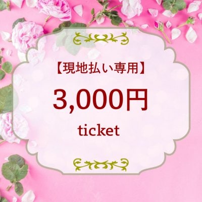 【現地払い専用】3000円チケット