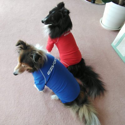 EZYDOG 犬用ロングスリーブラッシュガード S【全二色】