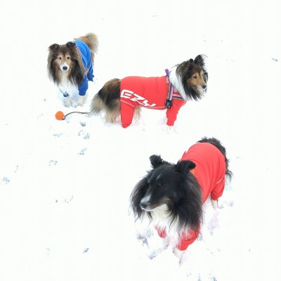 EZYDOG 犬用ロングスリーブラッシュガード XL【全二色】