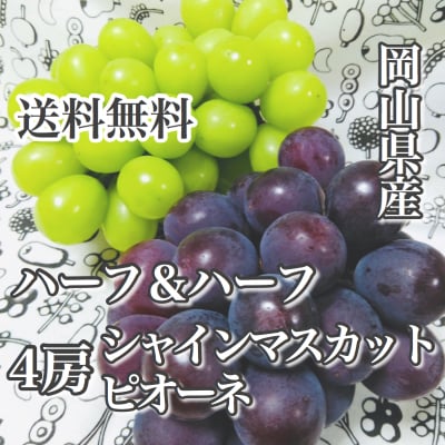 ピオーネ&シャインマスカットのハーフ&ハーフ2kg(3房)
