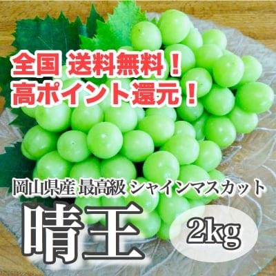 ツクツク!!通販