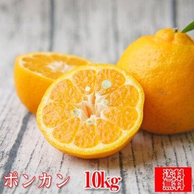 【fポ 10】ポンカン 10kg (多少の枝傷・葉傷・黒点有り)(家庭用・M〜2Lサイズ込み)【送料無料】みかん ポンカン