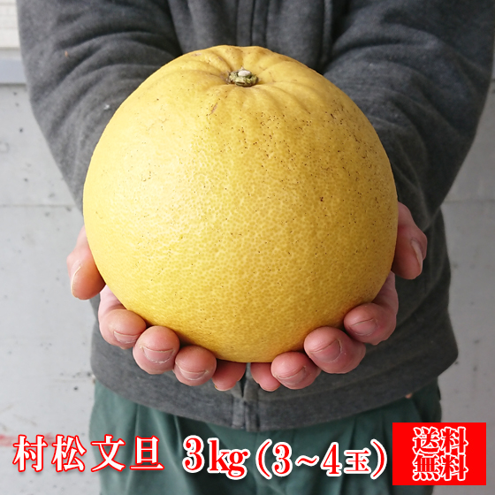 panyutaさま専用文旦 乙【2L】ムッキーセット | TAMURAKAJUEN