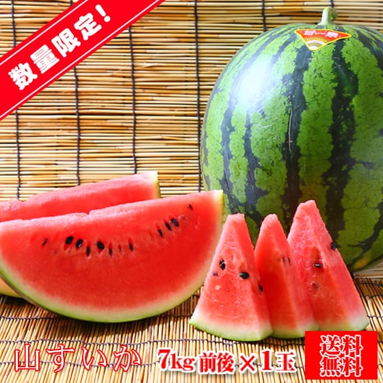 予約販売 山すいか 7kg前後 1玉 S0701 愛媛県産 送料無料