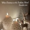 【11・12月のクッキング＆テーブル】🎄クリスマスレッスン 「南の島のホワイトクリスマス」