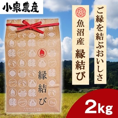先着3名様限定☆定期便☆縁結び|白米【2kg】