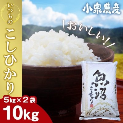 いつものこしひかり|白米【10kg】(5kg×2)