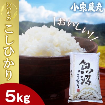 ☆令和2年産新米☆白米【5kg】いつものこしひかり