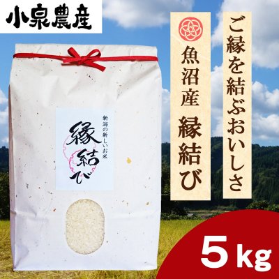 先着3名様限定☆定期便☆縁結び|白米【5kg】
