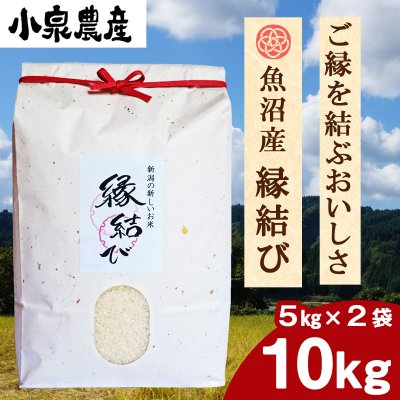 先着3名様限定☆定期便☆縁結び|白米【10kg】(5kg×2)