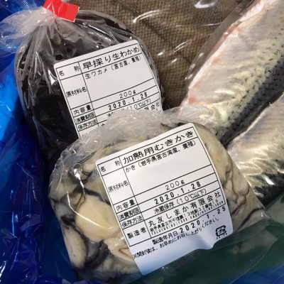【関西・中部・北陸限定】北三陸直送!朝どれ鮮魚BOX