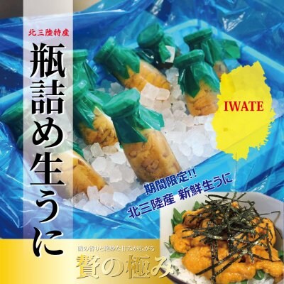 【初夏限定】岩手県産瓶生うに1本と朝どれ鮮魚コンパクト