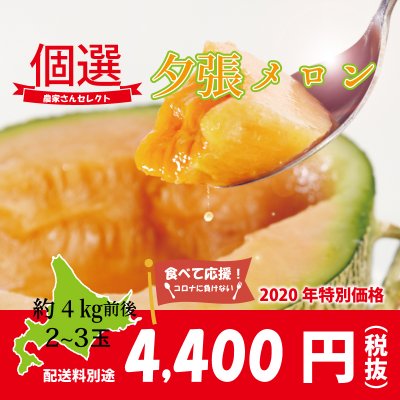 【夕張メロン 北海道】個選2玉〜3玉