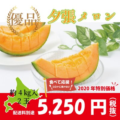 【夕張メロン 北海道】優品2玉