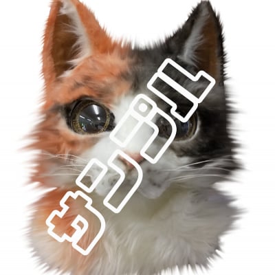 【当店大人気ナンバー1】ミケちゃんのミケ猫スーツ(ヘッド)ハンドメイド品