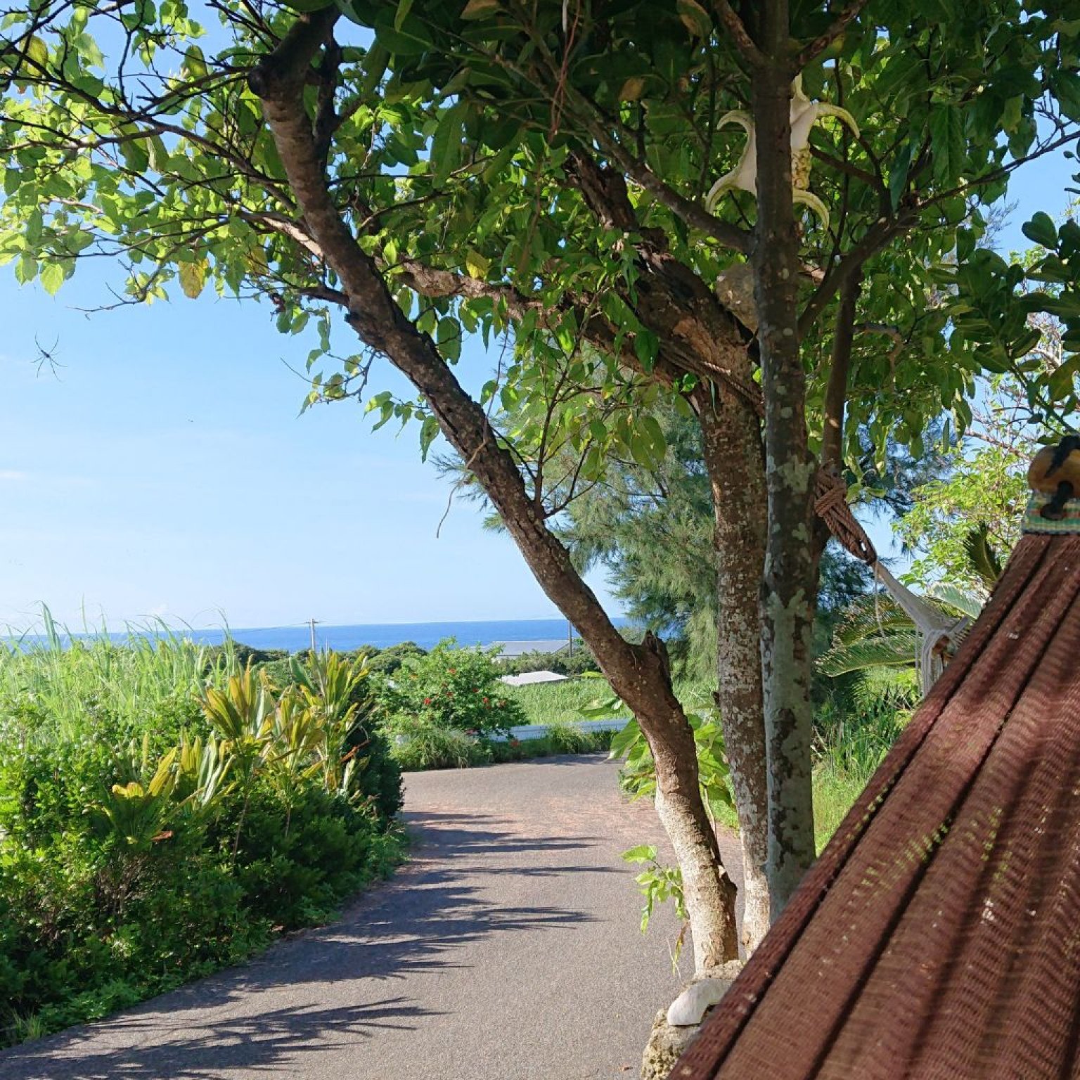 【夜空ツアー】【与論島】【現地決済】