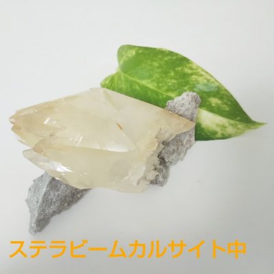 ステラビームカルサイト中