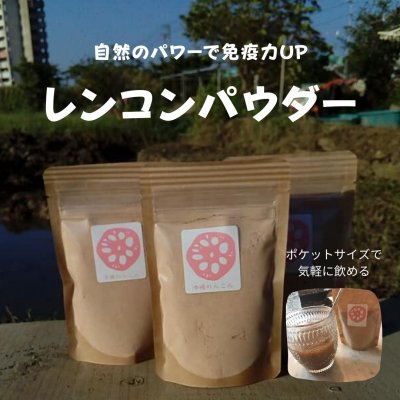 レンコンパウダー 沖縄健康 自然栽培 こだわり野菜 収穫体験も出来る沖縄れんこん サンキューファーム ツクツク 通販 モバイル 最もお得な高ポイント還元通販サイト
