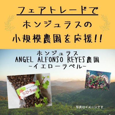 ☆フェアトレードでホンジュラスの小規模農園を応援!☆【ちひろ珈琲の自家焙煎珈琲豆】ホンジュラス Angel Alfonso Reyes農園 -イエローラベル-
