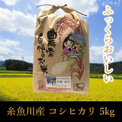 【数量限定 早い者勝ち】 新潟県糸魚川産コシヒカリ5kgとご飯のお供満載セット(糸魚川産いくら250g味付けなし+無添加鮭フレーク 佐渡荒海サーモン中骨あらほぐし110g2個+ごろごろシーフードのカレー ごっつあんカレー2箱) お買い上げでさらに新潟県糸魚川産コシヒカリ1kgプレゼント付!