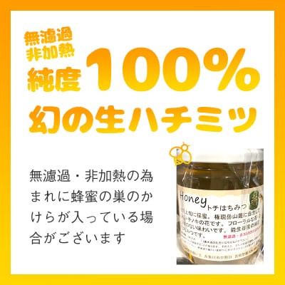 糸魚川産生ハチミツ(トチノキ)【通販専用商品】