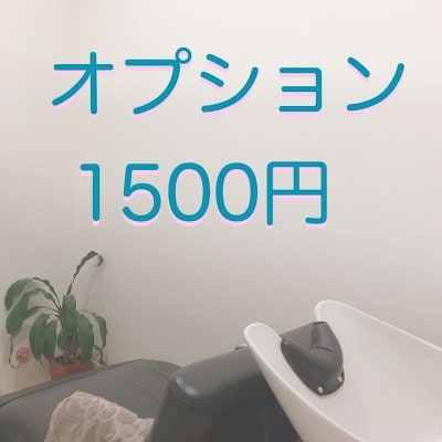 オプション1500円