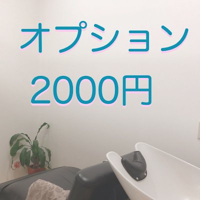 オプション2000円