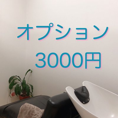 オプション3000円