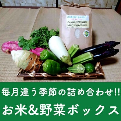 【1日限定3セット】毎日違う季節の詰め合わせ!!お米2kg&野菜ボックス *関東、中部、東北3県 3,672円のみ/消費税・送料代込み*