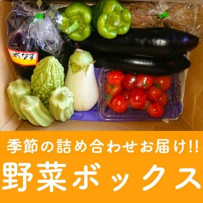 【1日限定3セット】毎日違う季節の詰め合わせ!! 野菜ボックス *関東、中部、東北3県 2,592円のみ/消費税・送料代込み*