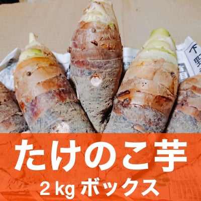 【冬季限定】たけのこ芋 2㎏ボックス *関東、中部、東北3県 3,348円のみ/消費税・送料代込み*