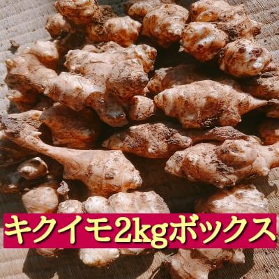 【冬季限定】菊芋 2㎏ ボックス *関東、中部、東北3県 2,376円のみ/消費税・送料代込み*
