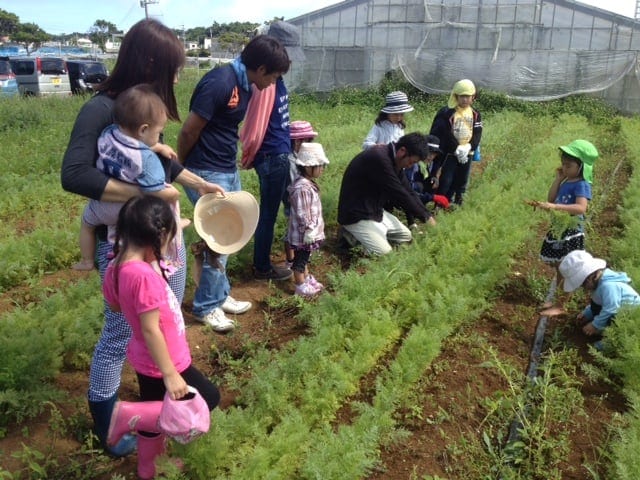 農業自然体験【沖縄】小人1人のイメージその６