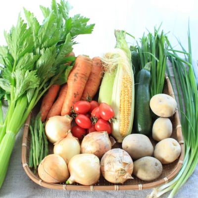沖縄の季節野菜セット【S: 1〜2人用】4品〜5品