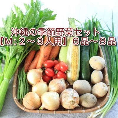 沖縄の季節野菜セット【M: 2〜3人用】6品〜8品