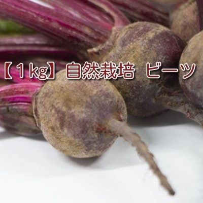 【1kg】自然栽培/無農薬ビーツ