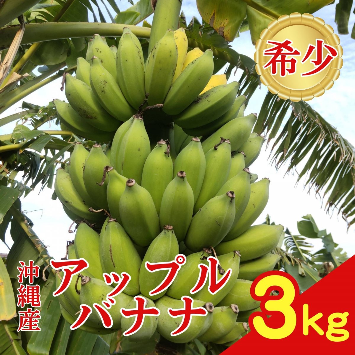 【バナナ ３kg】沖縄の太陽と大地と海の恵み無農薬バナナ