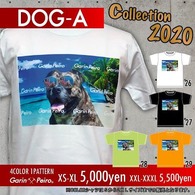 DOG-A/Garinpeiro(ガリンペイロ)Tシャツ