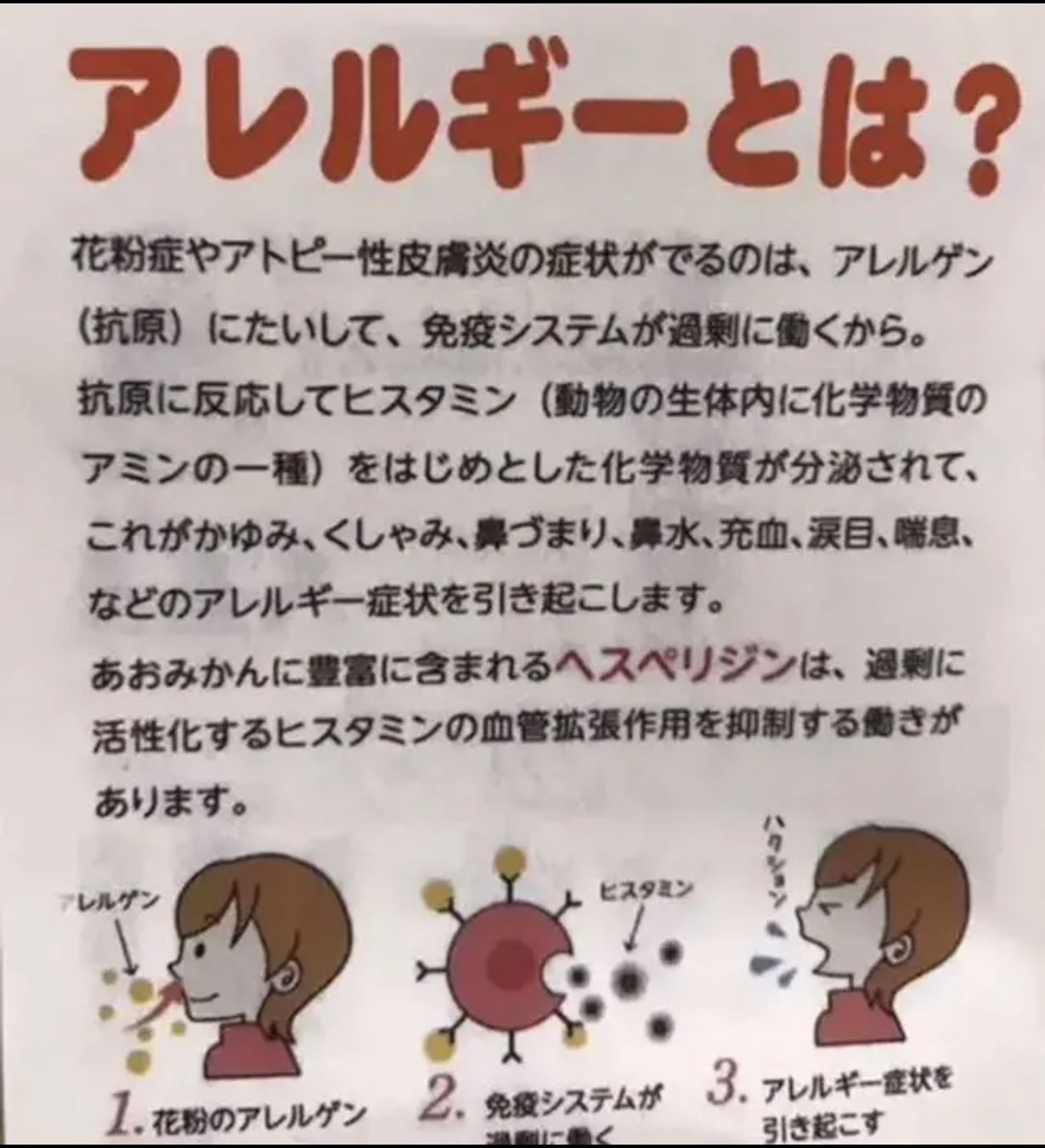 花粉症でお悩みの方に オーガニック 青みかんパウダー３０g 自然栽培 抗アレルギー 鼻炎 美肌 ビタミン補給 花粉症の症状緩和 花粉症対策 くしゃみ 鼻水 鼻づまり 肌荒れ 自然療法 無農薬 無肥料