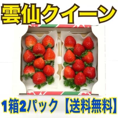 長崎産 甘くて濃い朝採り完熟いちご雲仙クイーン高ポイント還元※北海道のみ送料あり