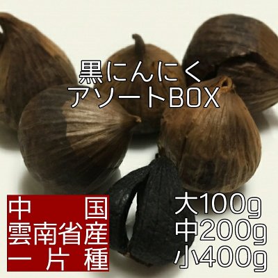 黒にんにく一片種400g 株式会社恒健 黒にんにくお取り寄せ通販 兵庫県神戸市 ツクツク 通販 モバイル 最もお得な高ポイント還元通販サイト 黒にんにく一片種400g 株式会社恒健 黒にんにくお取り寄せ通販 兵庫県神戸市 ツクツク 通販 モバイル 最もお得な高ポイント還元通販サイト