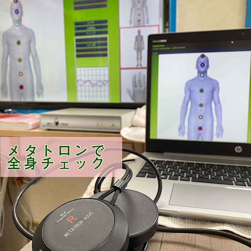 現地払い専用 メタトロン測定 波動水500 付 しっかりセラピー 推薦 禁忌食品プリントお渡し すべての機能 Awakening Support サロン なごみや メタトロン測定 感情ストレス解放セッションのras 整体 操体法 レイキヒーリング ツクツク ウェブ