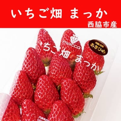 いちご あきひめ 紅ほっぺ おいCベリー 西脇市産 まっか Macca