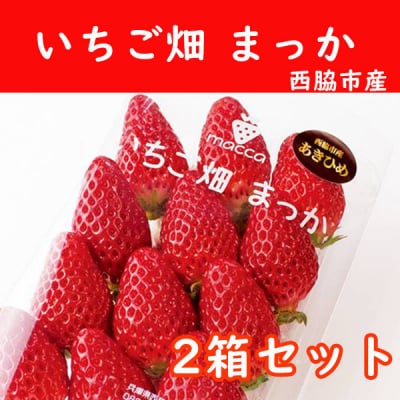 いちご あきひめ 紅ほっぺ おいCベリー 西脇市産 まっか Macca 2箱セット