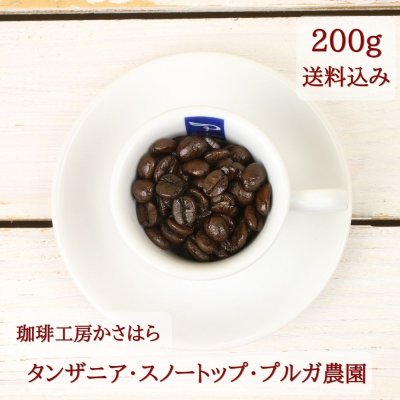 《送料込み》【タンザニア スノートップブルガ農園 中深煎り 200g】珈琲工房かさはら 自家焙煎 上品な酸味と甘味、芳醇なコクと香り スッキリとした後味 新潟県上越市