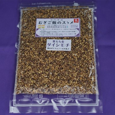 もち麦(ダイシモチ)の5袋セット送料無料