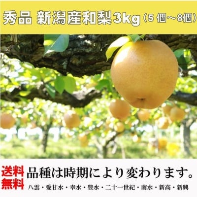 秀品 新潟産 和梨 3kg(5個〜8個)幸水・豊水・二十一世紀・あきづき・新高・新興【ご贈答 ご家庭 ギフト 梨 なし】