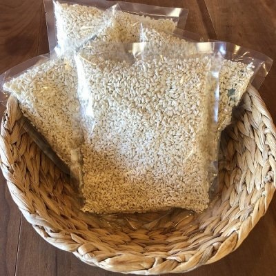 GF 米糀300g