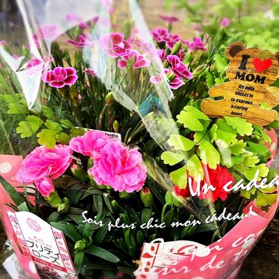 お手軽☆【季節の寄せ鉢】